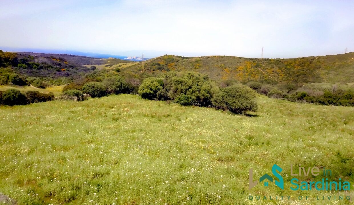 Country-Home-For-Sale-Aglientu-Northern-Sardinia