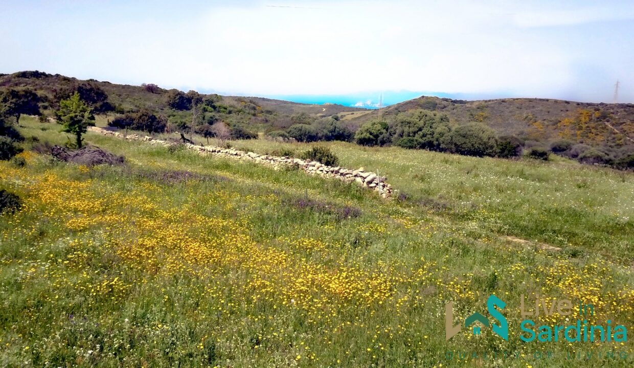 Country-Home-For-Sale-Aglientu-Northern-Sardinia