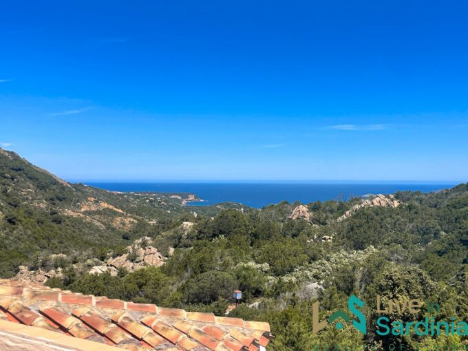 view from the villa across the rooftop and evergreen mediterranean vegetation