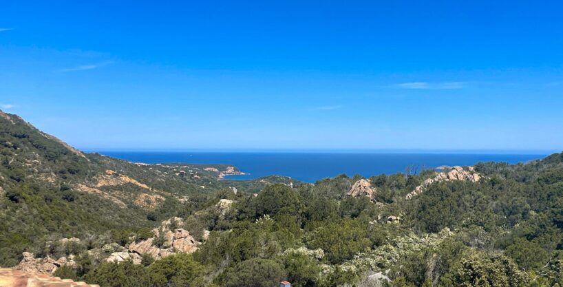 view from the villa across the rooftop and evergreen mediterranean vegetation