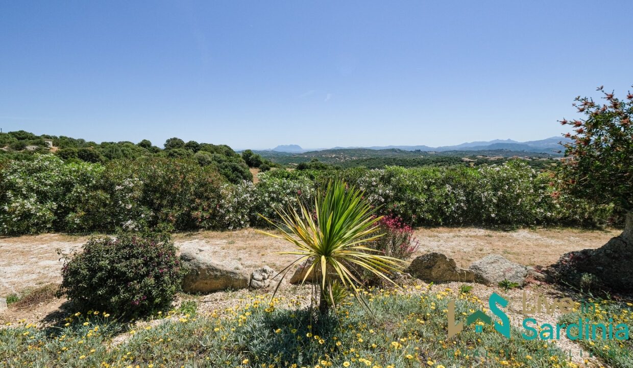 Countryside-Villa-for-Sale-in-Telti (88)