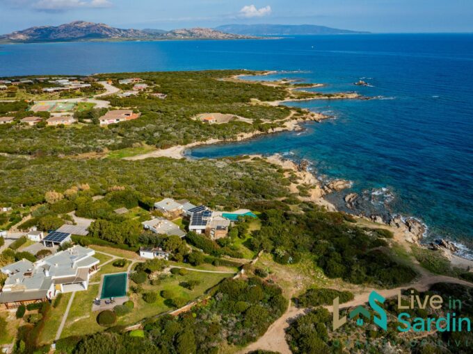 aerial view of stintino coastline and vegetation. There Sardinian modern villas facing the sea with pool and private garden