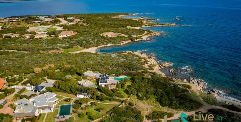 aerial view of stintino coastline and vegetation. There Sardinian modern villas facing the sea with pool and private garden
